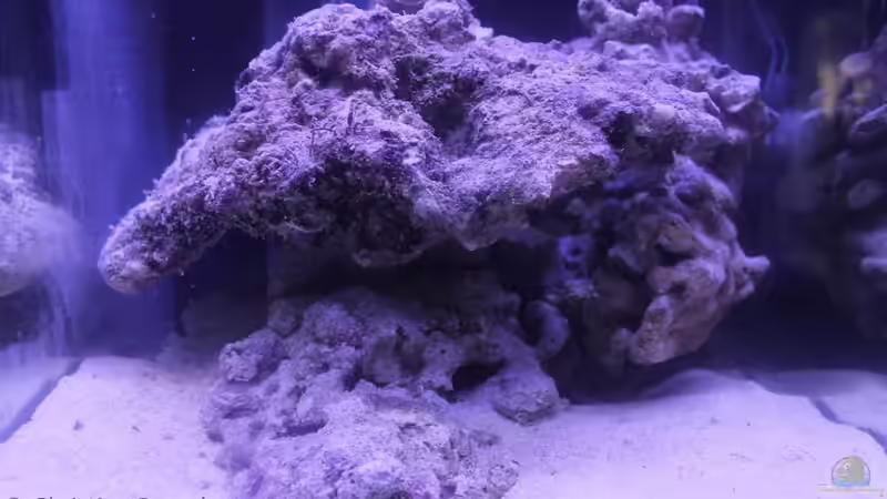 der Steinaufbau von chrisi01 (8)