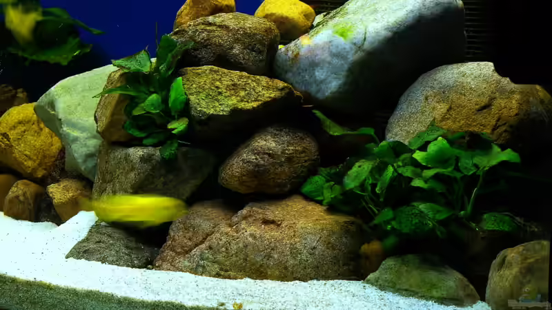 der Steinaufbau vor den Pumpen vorher von Hr.Lampe (15)