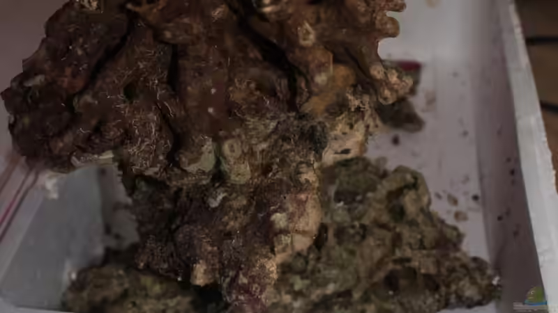 der Steinturm im Trockenbau von chrisi01 (6)