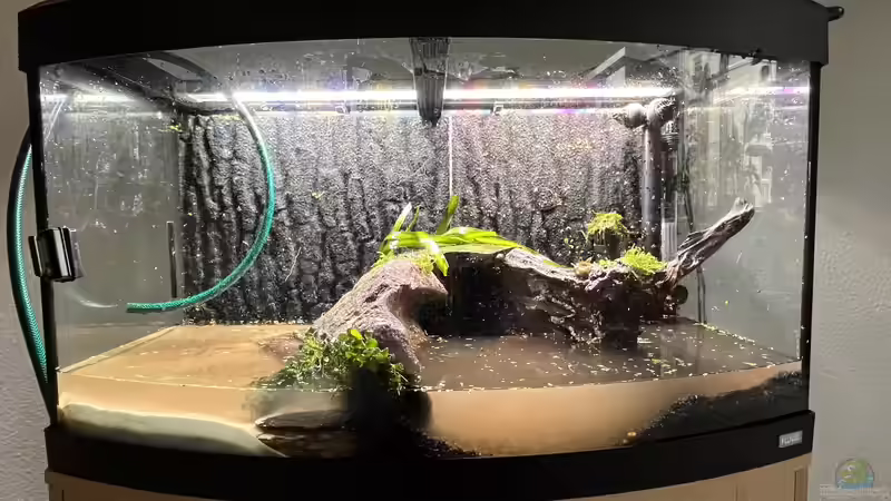 Der Strand und Küstenbereich steht schon mal.  von BoelleRBL (4)