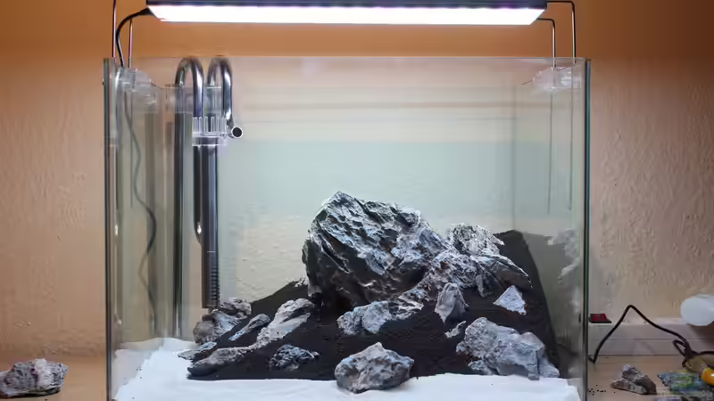 Der Strand wurde angelegt, die Einrichtung ist fertig, jetzt kann gepflanzt werden. von X-Rayminator (8)