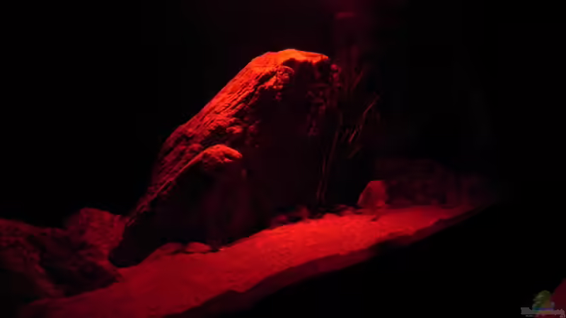 Der Tag beginnt...... von Sternenseeträumer (20)