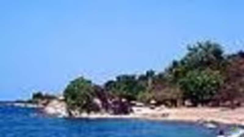 Der Tanganjikasee  von H.K-Mika (28)