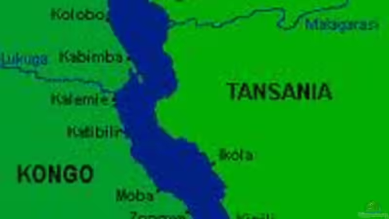 Der Tanganjikasee  von H.K-Mika (29)