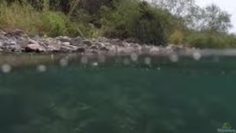 Der Tanganjikasee  von H.K-Mika (31)