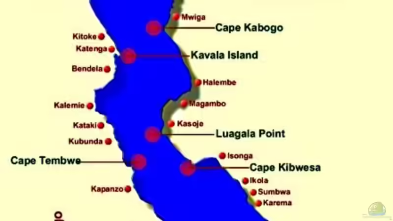 Der Tanganjikasee von Didi (39)