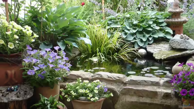 der Teich 2014 jetzt aktuell von Grünhexe (16)