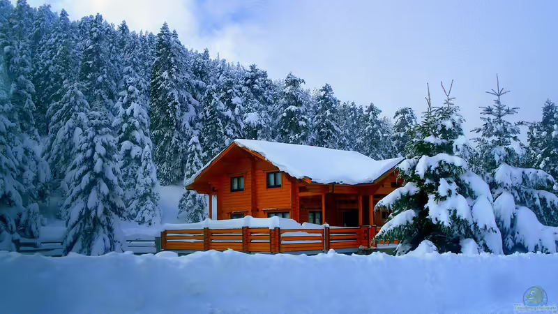 Der Traum vom eigenen Holzhaus: So gelingt die Verwirklichung
