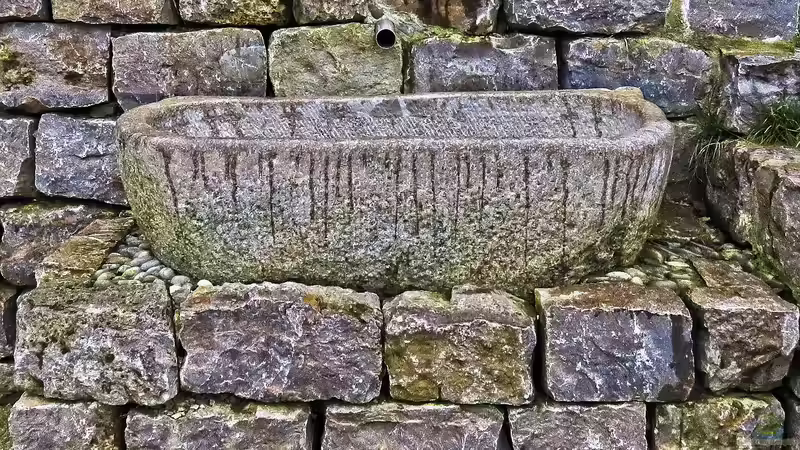 Der Troggarten - zeitlose Gartengestaltung mit Charakter, Struktur und natürlicher Ruhe