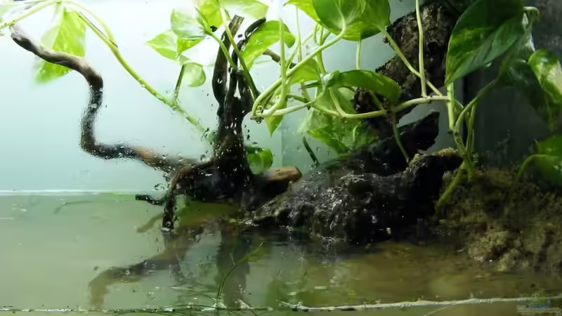 Der überirdische Teil  von Falk (10)