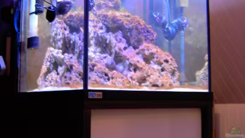 Der Umbau !!!! von Steffen Schmidt (7)