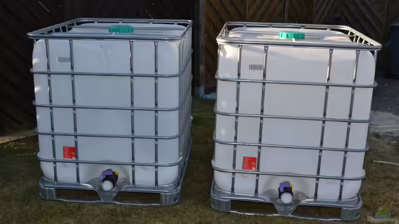 Der Umbau meine Aquariums zu "Reborn from the Ashes"