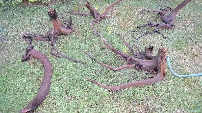 Der Umbau meine Aquariums zu "Reborn from the Ashes"