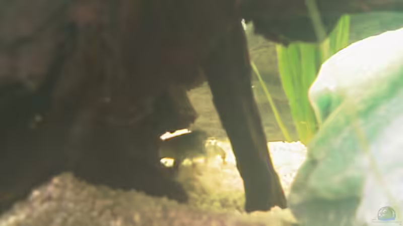 der Umzug ist geschafft von Carmen Bernhardt (15)