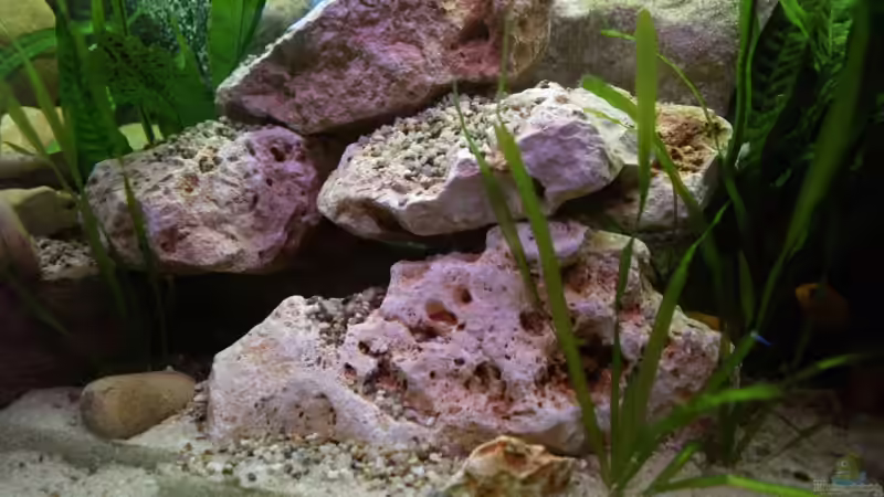 der untere Bereich in der Mitte von Thomas Rengier (12)