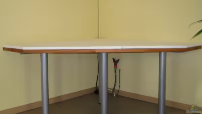 Der ´Unterschrank´ ohne Aquarium... von Horst Gennat (12)