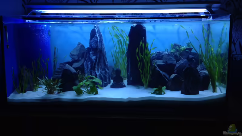 Der vergessene Buddha von chewi86 (1)