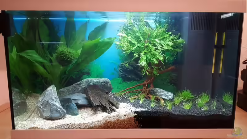 der vierte Streich von Nordlicht Ka