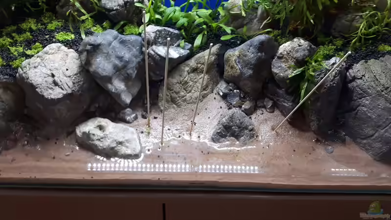 der Vordergrung muss noch bepflanzt werden von Der Nicky (60)