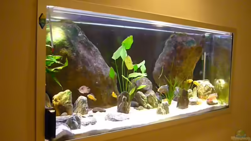 der Wandeinbau von Chris_R. (4)