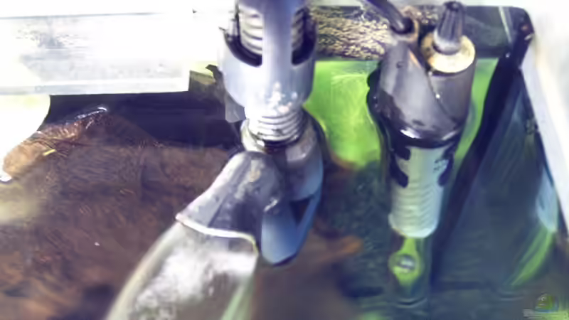 Der Wasserfluter von Dennis und Katha (15)