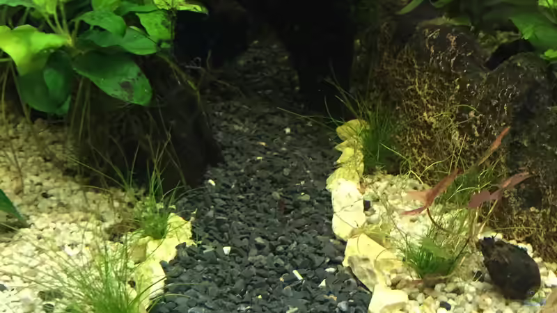 Der Weg... von Tarmina (20)