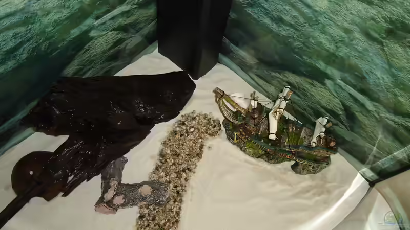 Der Weg wurde aus dem Kies des Vorbecken gelegt .  24.07.2015 von atom010 (21)