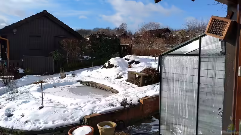 Der Winter und Frost hat uns im Griff. 03.02.2019 von Acki50 (16)