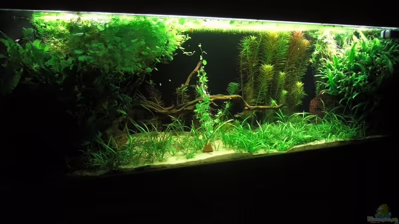 Der xxx Tag nach Neueinrichtung von Marmax (1)