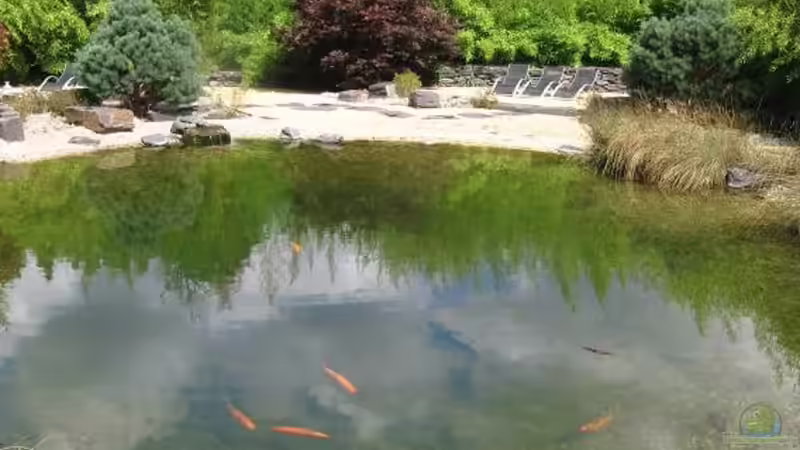 Der Zen-Garten: Eine harmonische Oase der Ruhe und Ausgeglichenheit