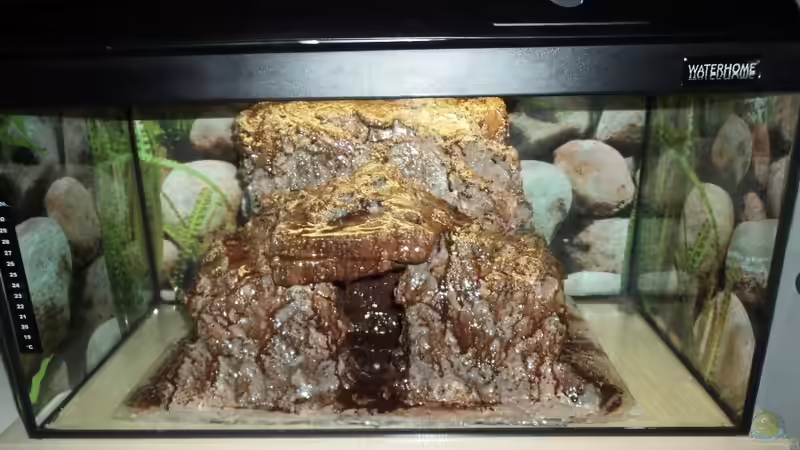 Der zweite Anstrich  von Michael Boeck (13)