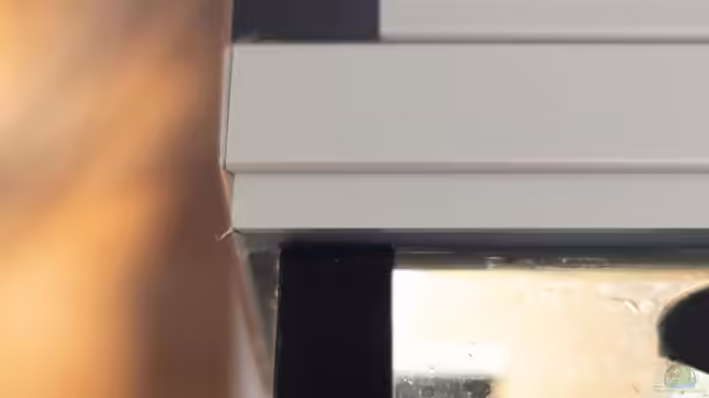 Detail Aluschiene - verklebt mit Aquarium von Schlangenschulz (8)