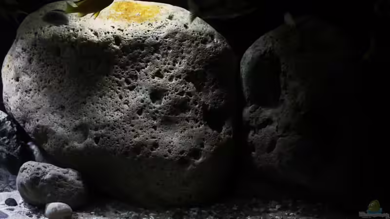 Detail Ansicht der Rockzolid Steine von Florian Bandhauer (13)