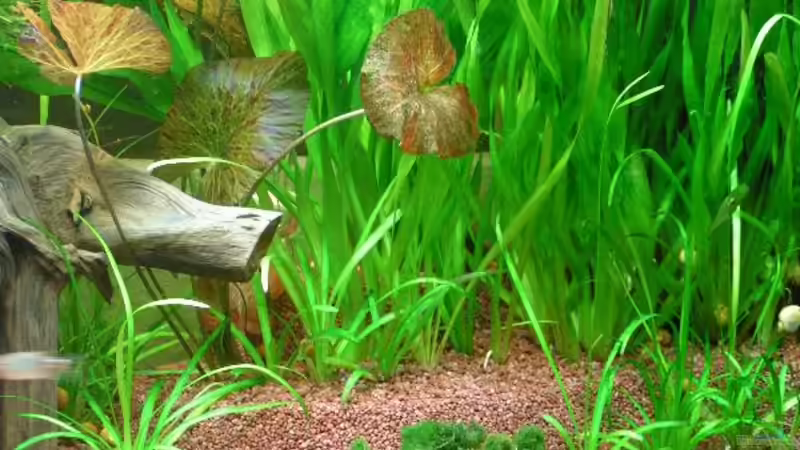 Detail bei den Terrassen von Walter Michelis (6)