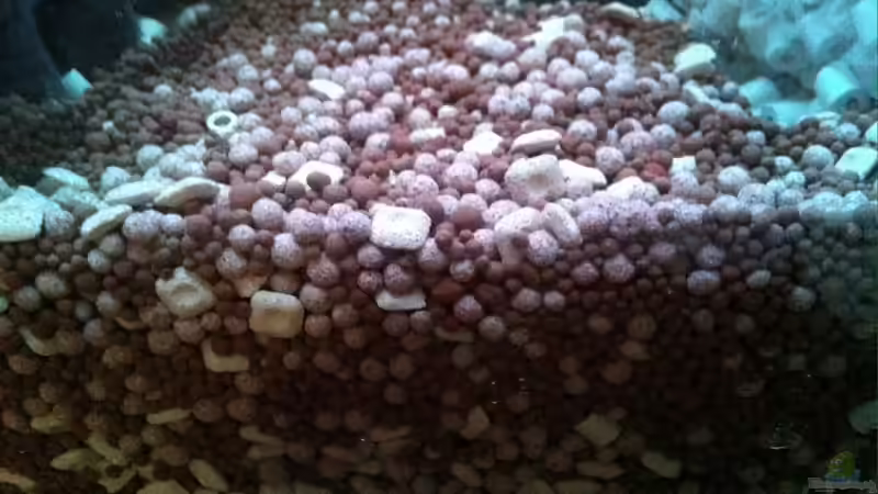 Detail Filterbecken von Jean-Paul Ambord (29)