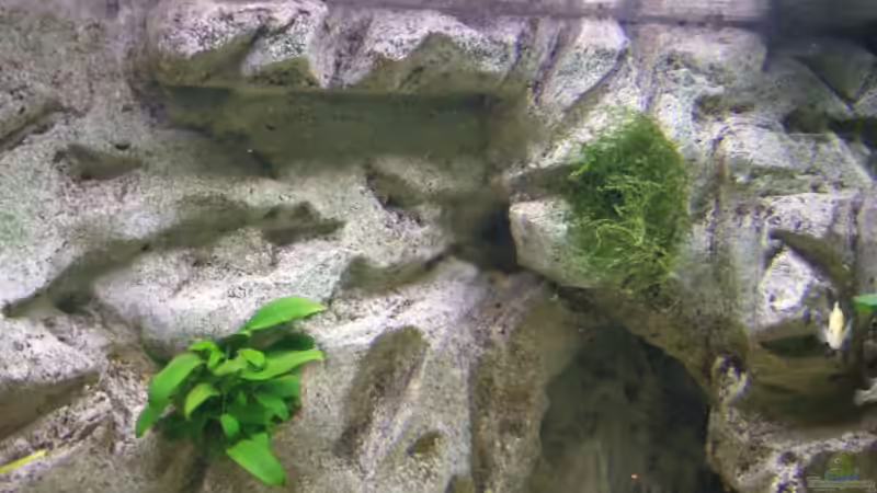 Detail Hintergrund mit Höhlen und Aufbauten von Joopde (17)