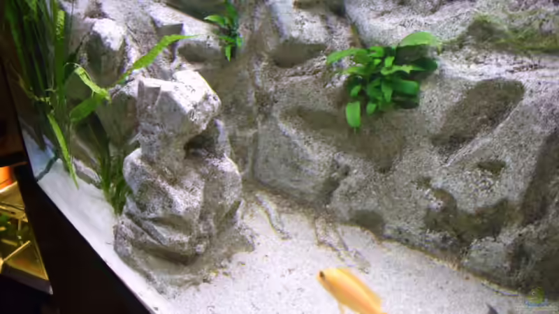 Detail Hintergrund mit Höhlen und Aufbauten von Joopde (18)