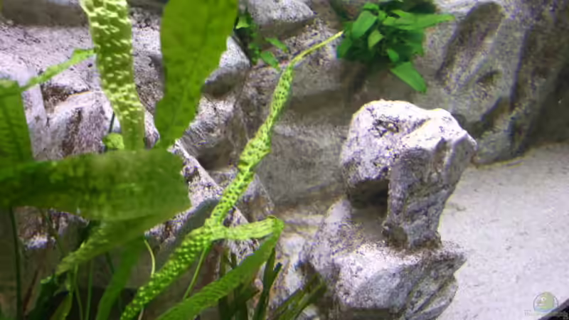 Detail Hintergrund mit Höhlen und Aufbauten von Joopde (19)