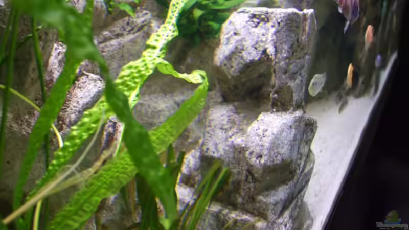 Detail Hintergrund mit Höhlen und Aufbauten von Joopde (20)