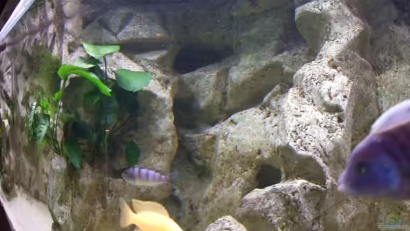 Detail Hintergrund mit Höhlen und Aufbauten von Joopde (22)