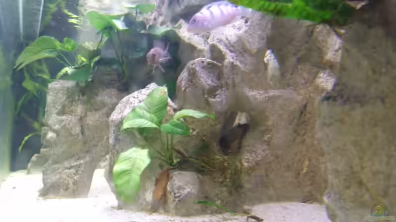 Detail Hintergrund mit Höhlen und Aufbauten von Joopde (24)