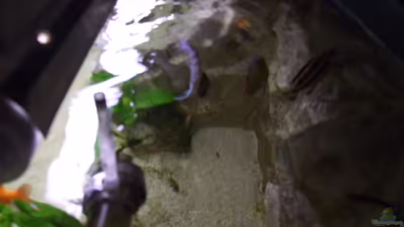 Detail Hintergrund mit Höhlen und Aufbauten von Joopde (25)