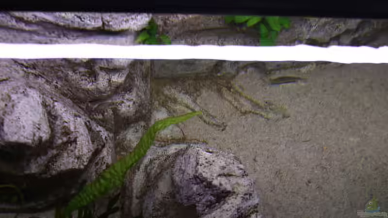 Detail Hintergrund mit Höhlen und Aufbauten von Joopde (27)