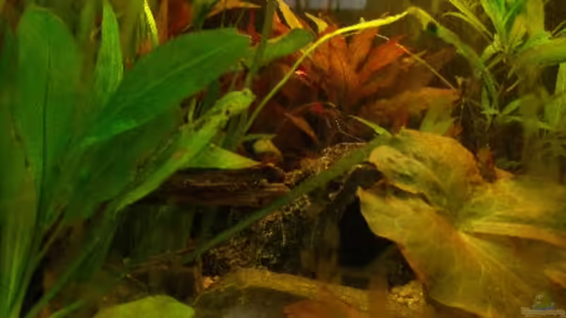 Detail linke Beckenseite von Maja Knodel (5)