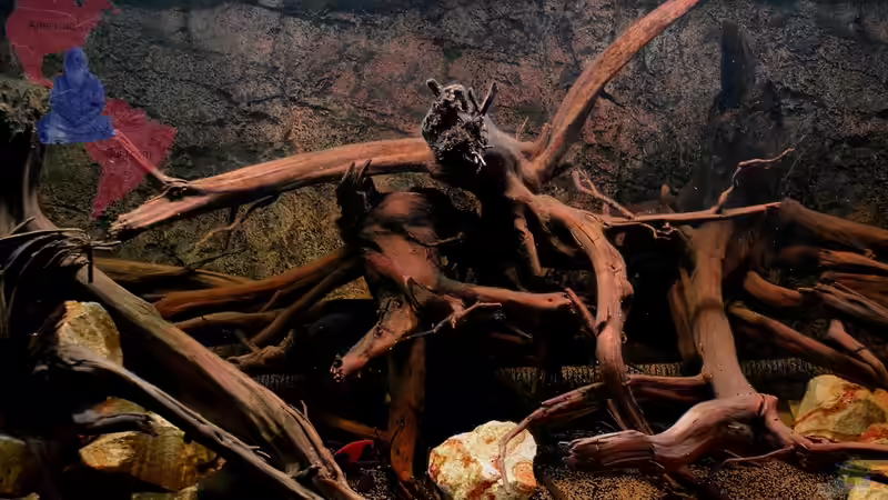 Detail Links mehr zur Mitte am 20.09.2012 von GGuardiaNN (12)