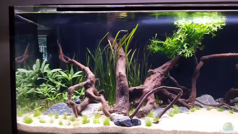 Detail links von frutolino (8)