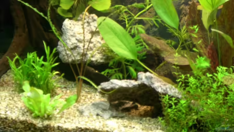 detail links von Stephan Fehringer (4)