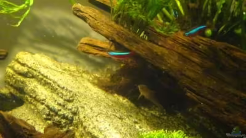 Detail mit Juli von Thorsten G. (18)