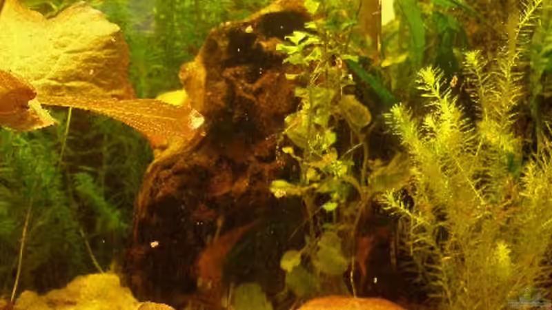 Detail rechte Beckenseite von Maja Knodel (6)