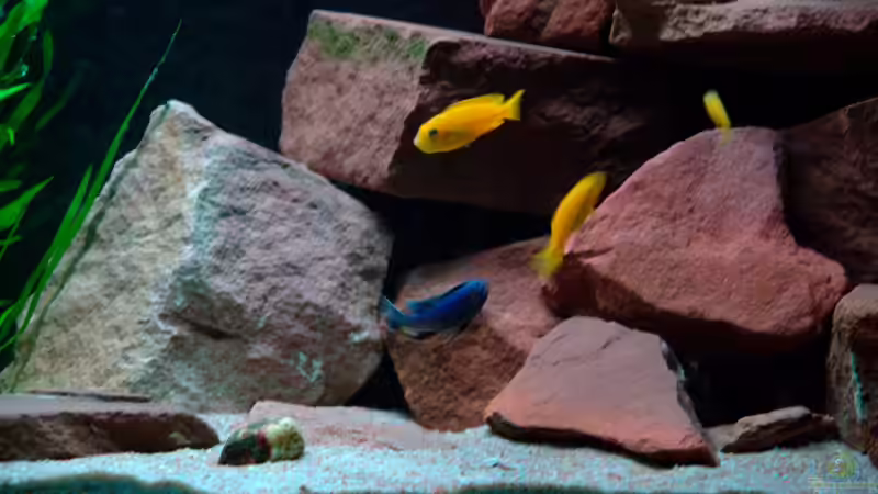 Detail rechter Steinhaufen von Duder Malawikus (12)